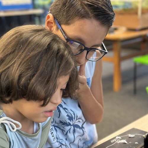 54549413669_11dc96c05f_c (1)