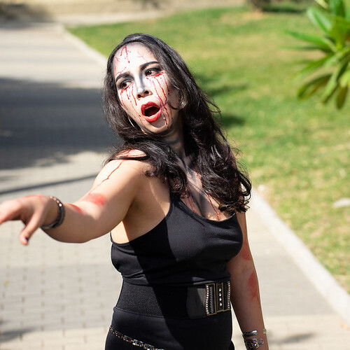 53229872849_629f851d28_c (1)