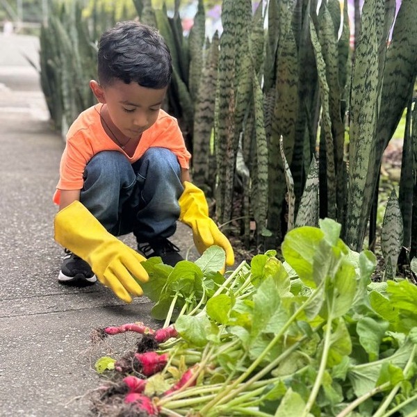 Adobe Express - file (4)