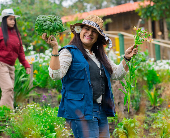 54932663964_eb09f016fd_c (1)