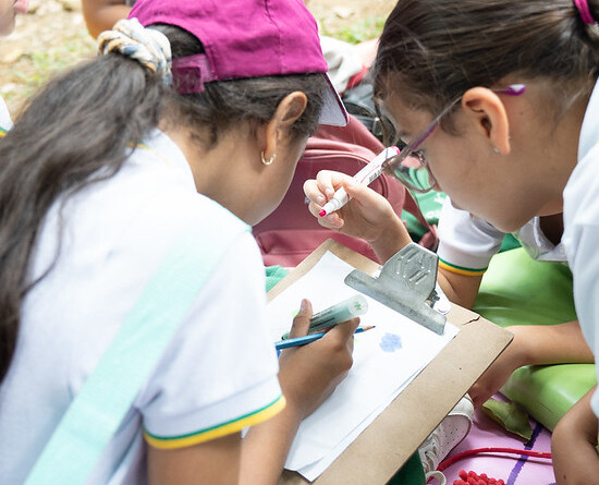 54811435098_0825fe86e9_c (1)