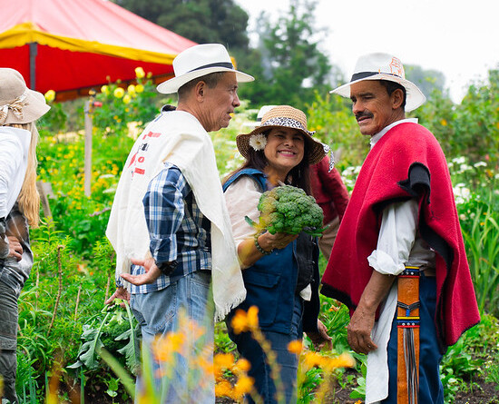 54931546352_3ee8441805_c (1)