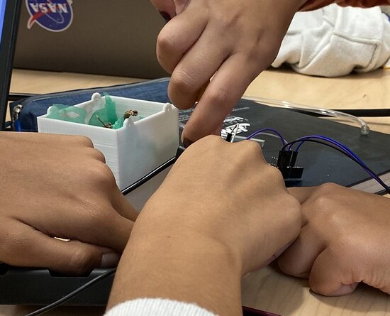 52279196035_7de86d949f_c (1)